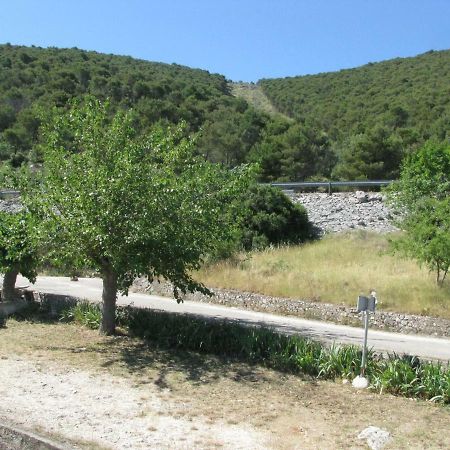 Apartments Sparada Mladen Grebaštica المظهر الخارجي الصورة